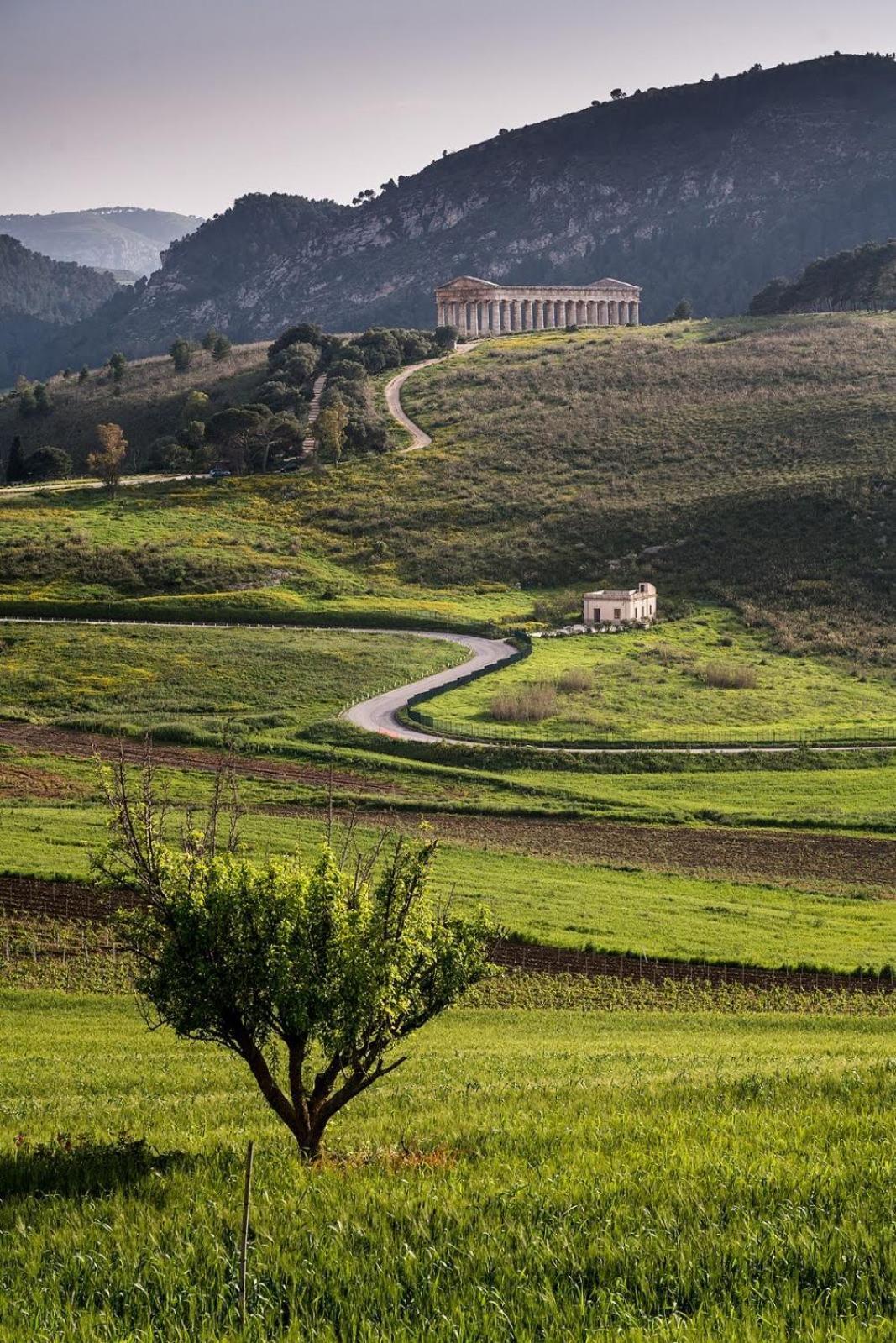 Helimos Bed&Breakfast Segesta Temple-Castellammare 칼라타피미 외부 사진